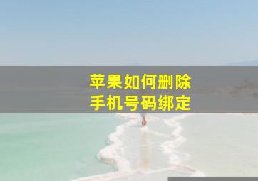 苹果如何删除手机号码绑定