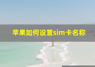 苹果如何设置sim卡名称