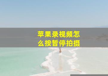 苹果录视频怎么按暂停拍摄