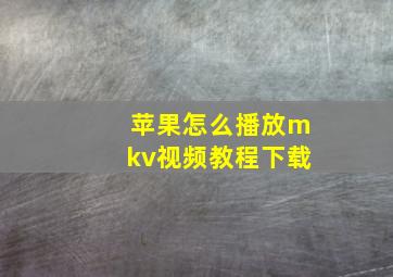 苹果怎么播放mkv视频教程下载