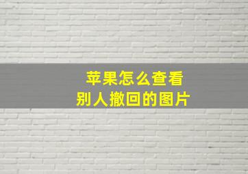 苹果怎么查看别人撤回的图片