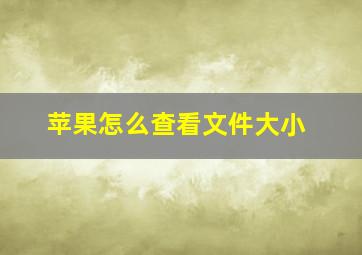 苹果怎么查看文件大小