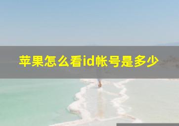 苹果怎么看id帐号是多少