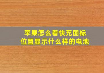 苹果怎么看快充图标位置显示什么样的电池