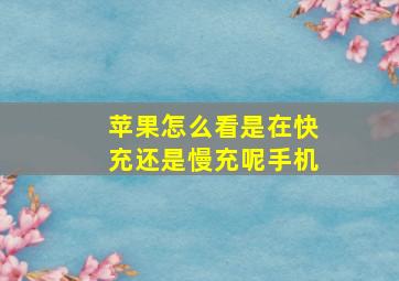 苹果怎么看是在快充还是慢充呢手机