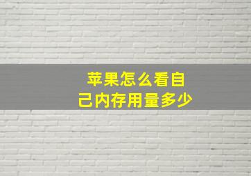 苹果怎么看自己内存用量多少