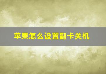 苹果怎么设置副卡关机