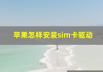 苹果怎样安装sim卡驱动