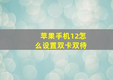 苹果手机12怎么设置双卡双待