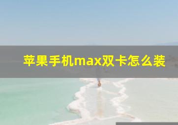 苹果手机max双卡怎么装