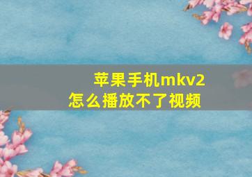 苹果手机mkv2怎么播放不了视频