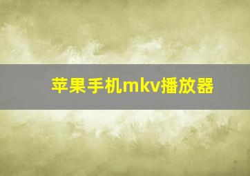 苹果手机mkv播放器