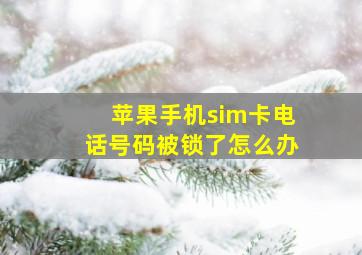 苹果手机sim卡电话号码被锁了怎么办