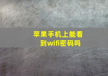 苹果手机上能看到wifi密码吗