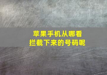 苹果手机从哪看拦截下来的号码呢