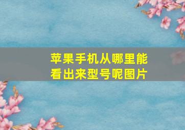 苹果手机从哪里能看出来型号呢图片