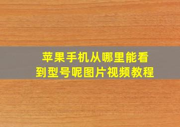 苹果手机从哪里能看到型号呢图片视频教程