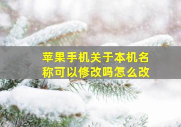 苹果手机关于本机名称可以修改吗怎么改