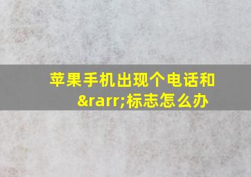 苹果手机出现个电话和→标志怎么办