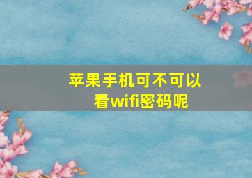 苹果手机可不可以看wifi密码呢