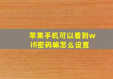 苹果手机可以看到wifi密码嘛怎么设置