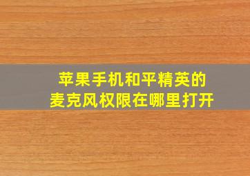 苹果手机和平精英的麦克风权限在哪里打开