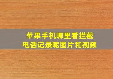 苹果手机哪里看拦截电话记录呢图片和视频