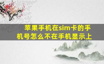 苹果手机在sim卡的手机号怎么不在手机显示上