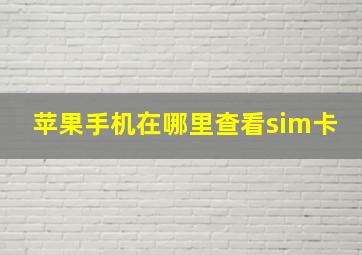 苹果手机在哪里查看sim卡