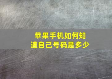 苹果手机如何知道自己号码是多少