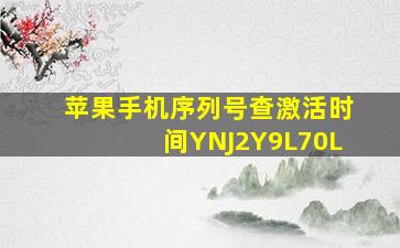 苹果手机序列号查激活时间YNJ2Y9L70L