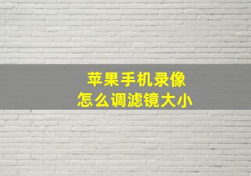 苹果手机录像怎么调滤镜大小