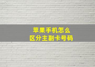 苹果手机怎么区分主副卡号码