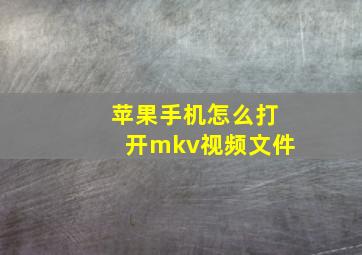 苹果手机怎么打开mkv视频文件