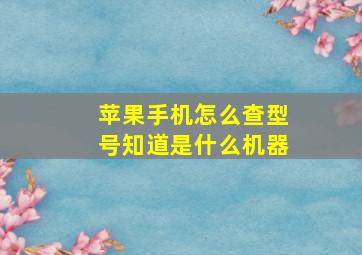 苹果手机怎么查型号知道是什么机器