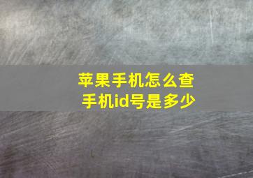 苹果手机怎么查手机id号是多少