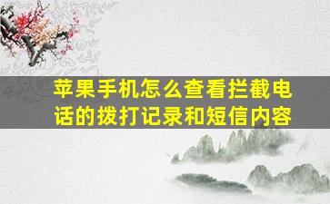 苹果手机怎么查看拦截电话的拨打记录和短信内容