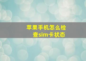 苹果手机怎么检查sim卡状态