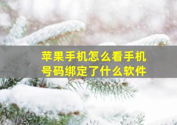 苹果手机怎么看手机号码绑定了什么软件