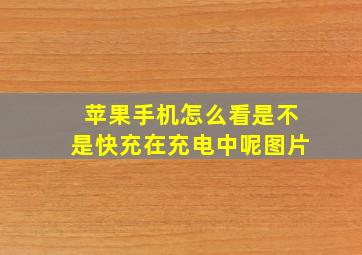 苹果手机怎么看是不是快充在充电中呢图片