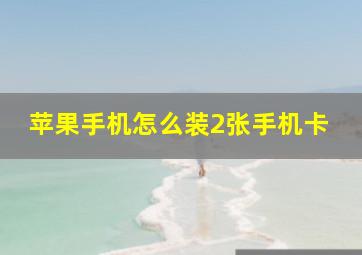 苹果手机怎么装2张手机卡