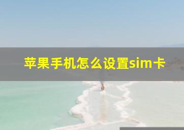 苹果手机怎么设置sim卡