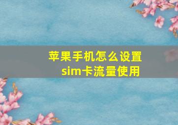 苹果手机怎么设置sim卡流量使用