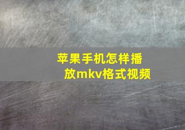 苹果手机怎样播放mkv格式视频