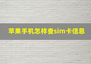 苹果手机怎样查sim卡信息