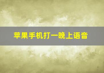 苹果手机打一晚上语音