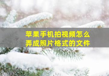 苹果手机拍视频怎么弄成照片格式的文件