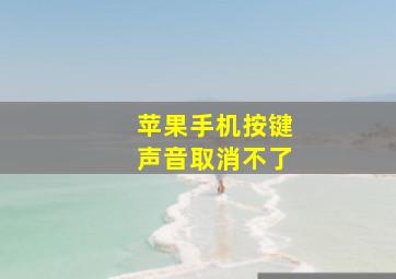 苹果手机按键声音取消不了