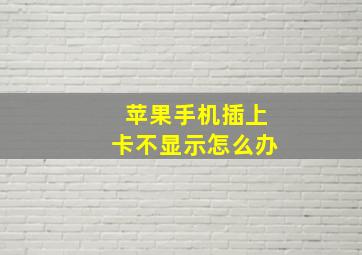 苹果手机插上卡不显示怎么办