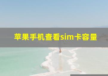 苹果手机查看sim卡容量